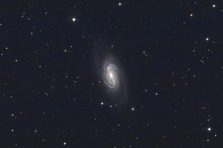 NGC2903.jpg